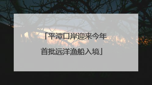 平潭口岸迎来今年首批远洋渔船入境