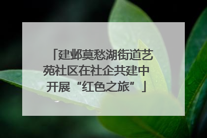 建邺莫愁湖街道艺苑社区在社企共建中开展“红色之旅”