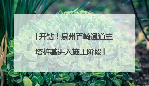 开钻！泉州百崎通道主塔桩基进入施工阶段