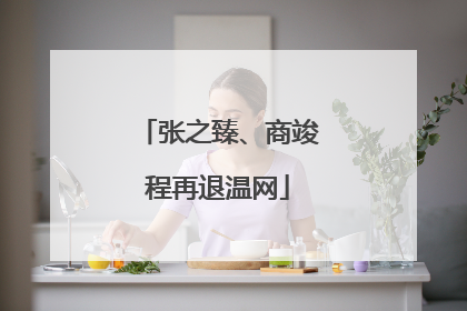张之臻、商竣程再退温网