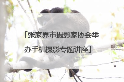 张家界市摄影家协会举办手机摄影专题讲座