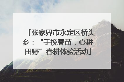 张家界市永定区桥头乡：“手挽春苗，心耕田野”春耕体验活动
