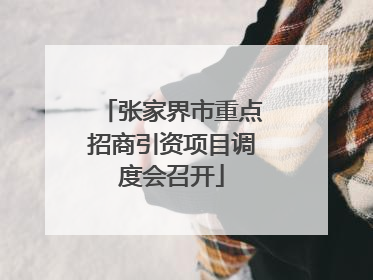 张家界市重点招商引资项目调度会召开