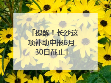 提醒！长沙这项补助申报6月30日截止