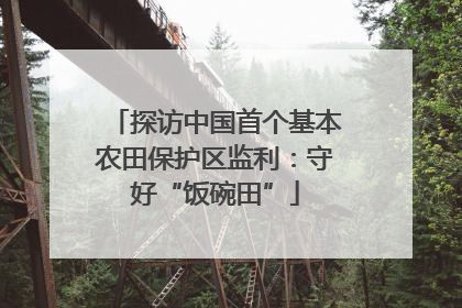 探访中国首个基本农田保护区监利：守好“饭碗田”
