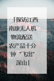 探访江西南康无人机物流配送 农产品十分钟“飞出”深山