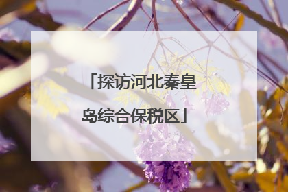 探访河北秦皇岛综合保税区