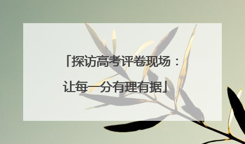 探访高考评卷现场：让每一分有理有据