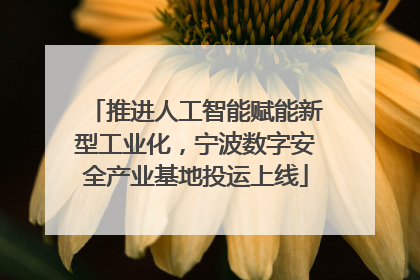 推进人工智能赋能新型工业化，宁波数字安全产业基地投运上线