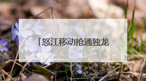 怒江移动抢通独龙江乡全部通信网络