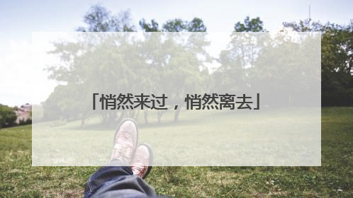 悄然来过，悄然离去