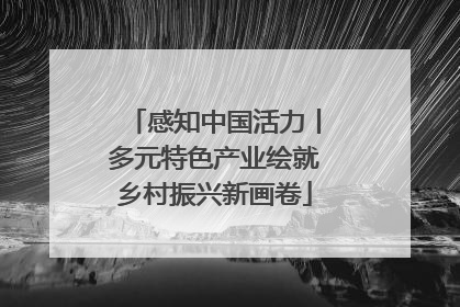 感知中国活力丨多元特色产业绘就乡村振兴新画卷