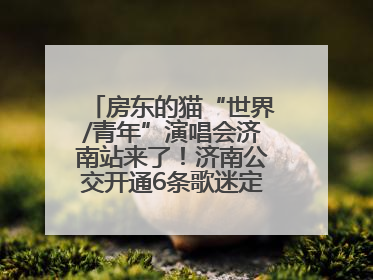 房东的猫“世界/青年”演唱会济南站来了！济南公交开通6条歌迷定制专线