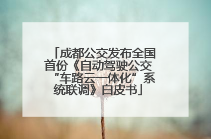 成都公交发布全国首份《自动驾驶公交“车路云一体化”系统联调》白皮书