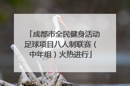 成都市全民健身活动足球项目八人制联赛（中年组）火热进行