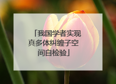 我国学者实现真多体纠缠子空间自检验