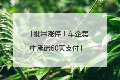 批量涨停！车企集中承诺60天支付