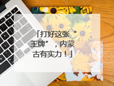 打好这张“王牌”，内蒙古有实力！