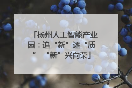 扬州人工智能产业园：追“新”逐“质” “新”兴向荣
