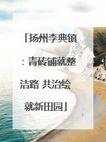 扬州李典镇：青砖铺就整洁路 共治绘就新田园