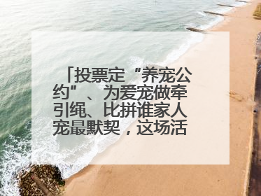投票定“养宠公约”、为爱宠做牵引绳、比拼谁家人宠最默契，这场活动有趣更有意义