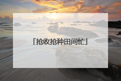 抢收抢种田间忙
