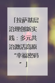 拉萨基层治理创新实践：多元共治激活高原“幸福密码”