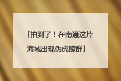 拍到了！在南通这片海域出现伪虎鲸群