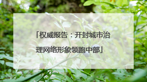权威报告：开封城市治理网络形象领跑中部