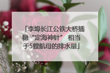 李埠长江公铁大桥插稳“定海神针” 相当于5艘航母的排水量