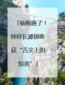 杨梅熟了！钟祥长滩镇收获“舌尖上的惊喜”