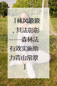 林风簌簌，其法彰彰——森林法有效实施助力青山常翠