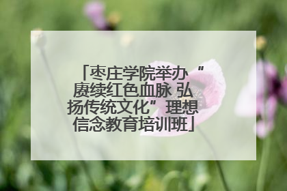 枣庄学院举办“赓续红色血脉 弘扬传统文化”理想信念教育培训班