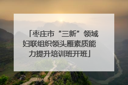 枣庄市“三新”领域妇联组织领头雁素质能力提升培训班开班