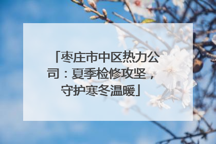 枣庄市中区热力公司：夏季检修攻坚，守护寒冬温暖