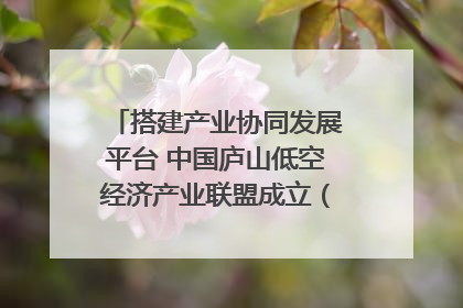 搭建产业协同发展平台 中国庐山低空经济产业联盟成立（组图｜视频）