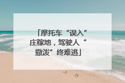 摩托车“误入”庄稼地，驾驶人“撒泼”终难逃