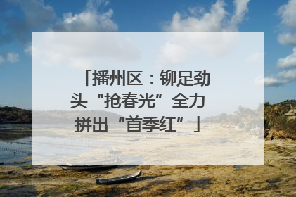 播州区：铆足劲头“抢春光”全力拼出“首季红”