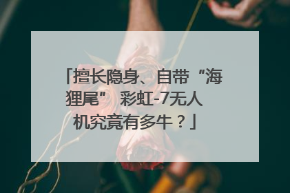 擅长隐身、自带“海狸尾” 彩虹-7无人机究竟有多牛？