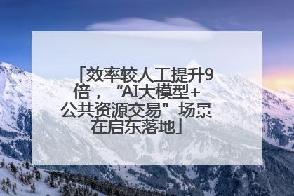 效率较人工提升9倍，“AI大模型+公共资源交易”场景在启东落地