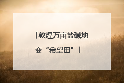 敦煌万亩盐碱地变“希望田”