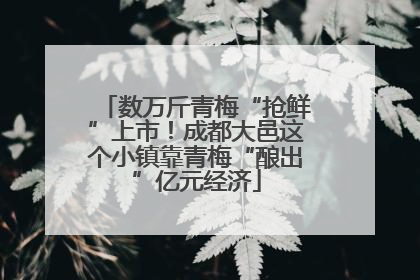 数万斤青梅“抢鲜”上市！成都大邑这个小镇靠青梅“酿出”亿元经济