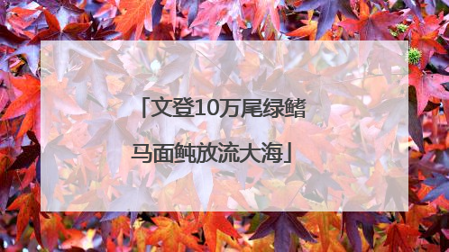 文登10万尾绿鳍马面鲀放流大海