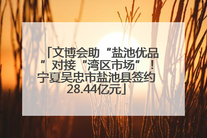 文博会助“盐池优品”对接“湾区市场”！宁夏吴忠市盐池县签约28.44亿元