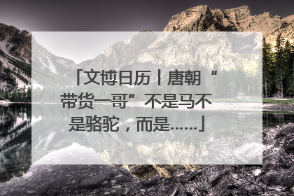文博日历丨唐朝“带货一哥”不是马不是骆驼，而是……