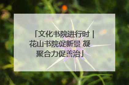 文化书院进行时｜花山书院促新景 凝聚合力促善治