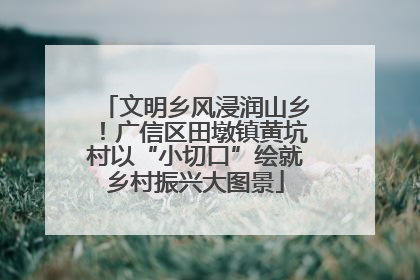 文明乡风浸润山乡！广信区田墩镇黄坑村以“小切口”绘就乡村振兴大图景