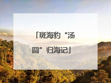 斑海豹“汤圆”归海记