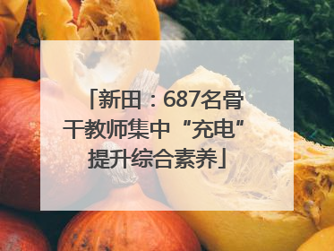 新田：687名骨干教师集中“充电” 提升综合素养
