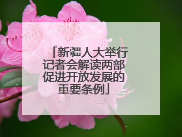 新疆人大举行记者会解读两部促进开放发展的重要条例